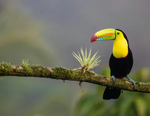 Destino de viaje en Costa Rica